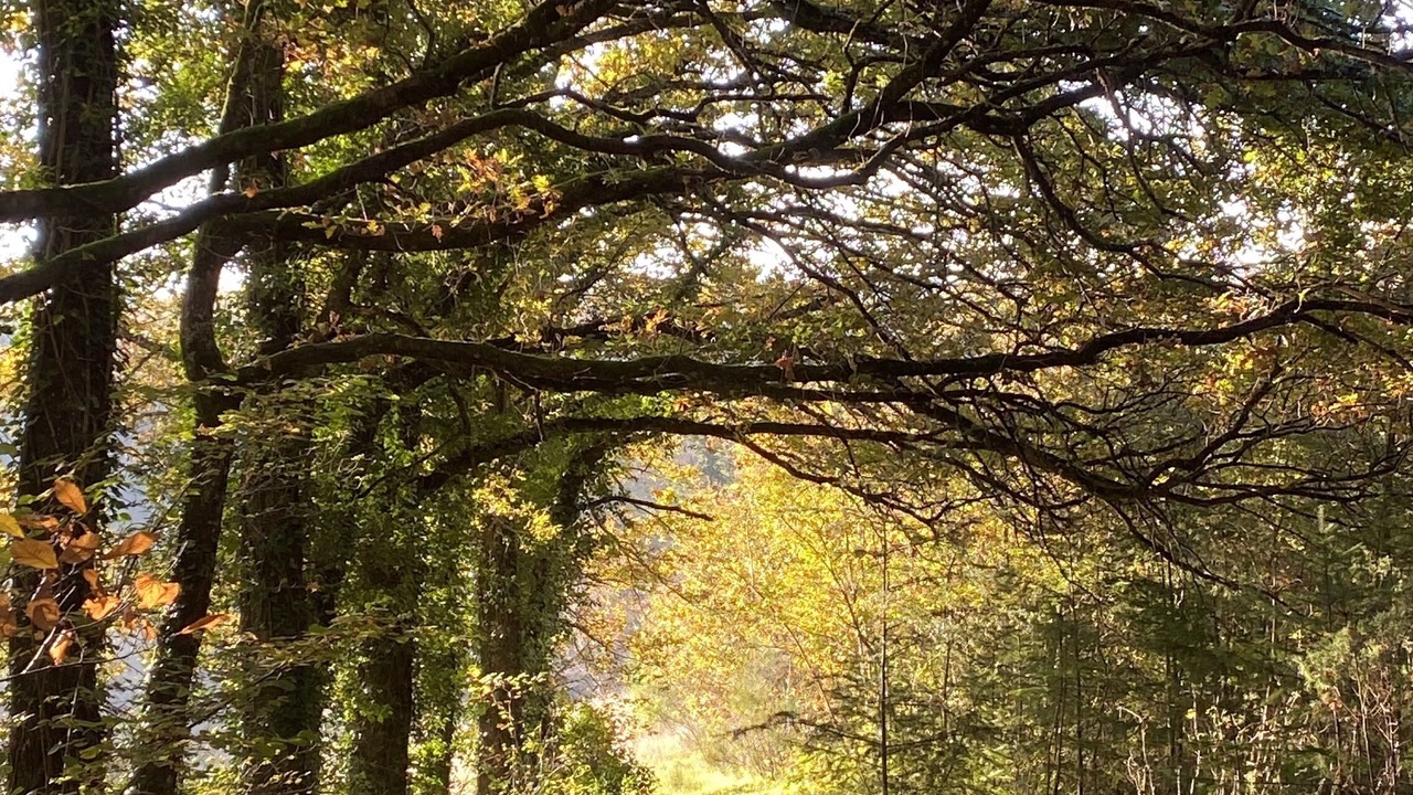 Photo of Outdoor in Fossemagne