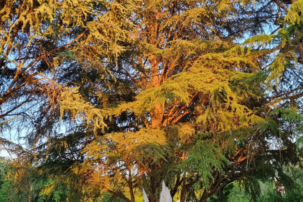 Photo of Outdoor in Miramont-de-Guyenne