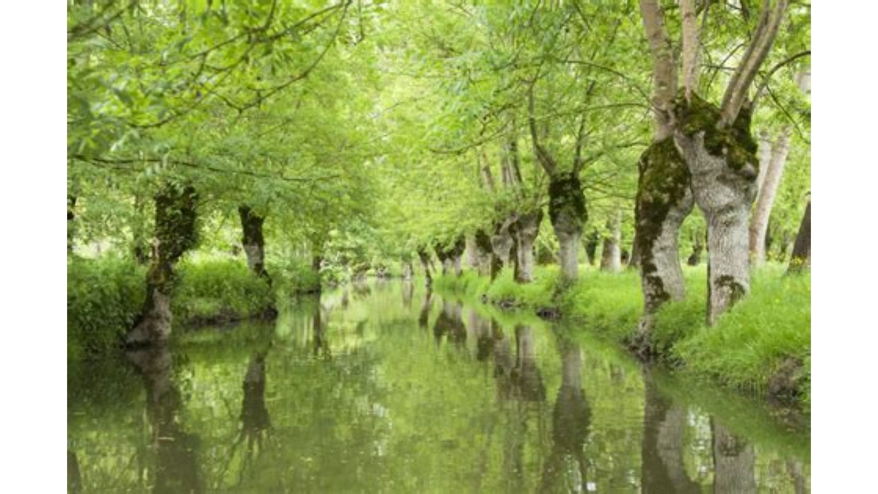 Photo of Outdoor in Saint-Hilaire-la-Palud