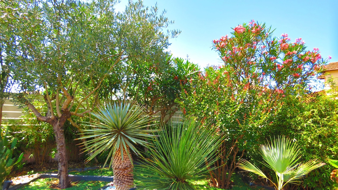 Photo of Outdoor in Boucau