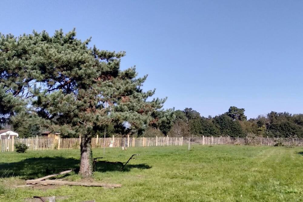 Photo of Outdoor in La Force