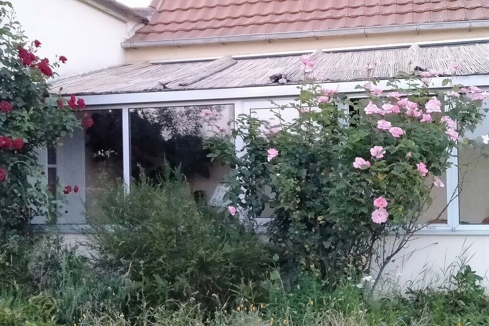 Photo of Outdoor in La Force