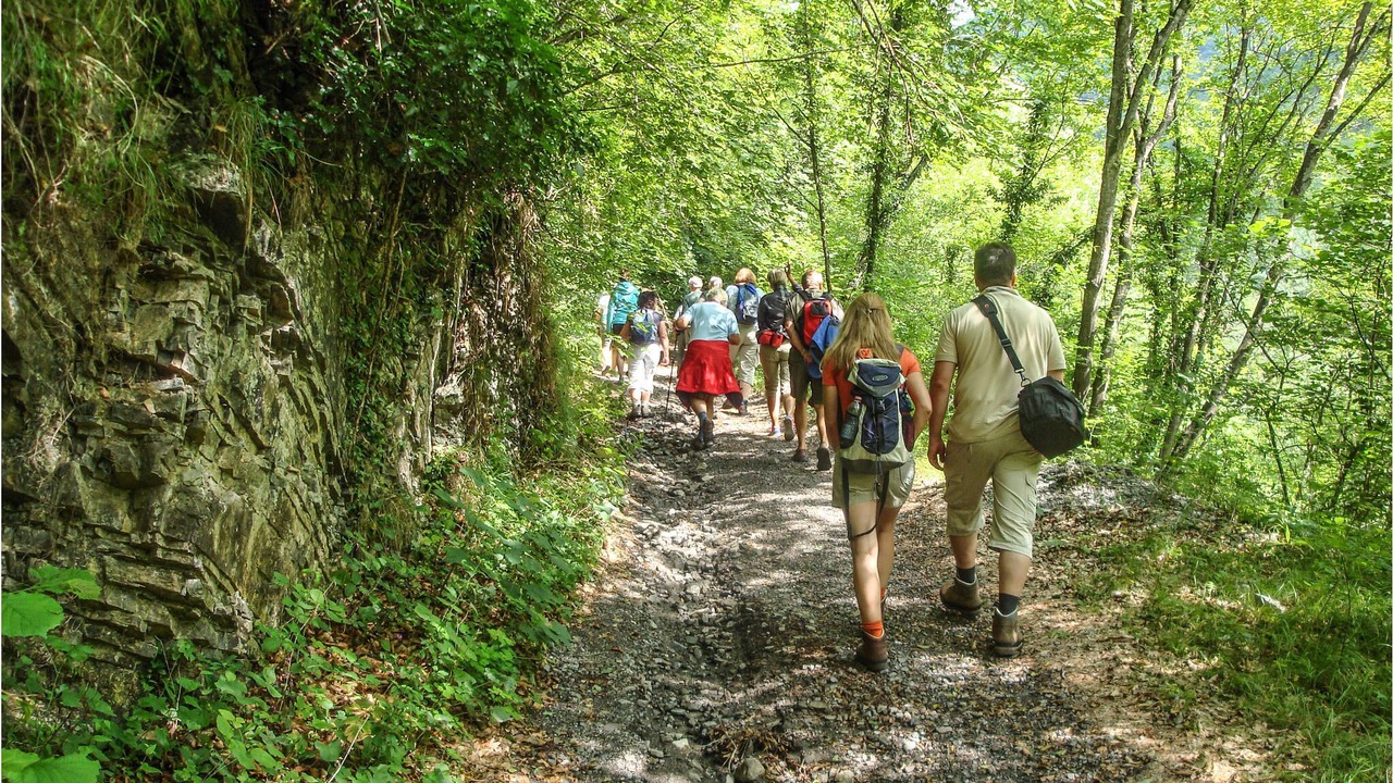 Photo of Others in Vivo dʼOrcia