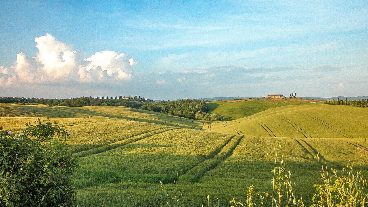 Photo of Others in Vivo dʼOrcia