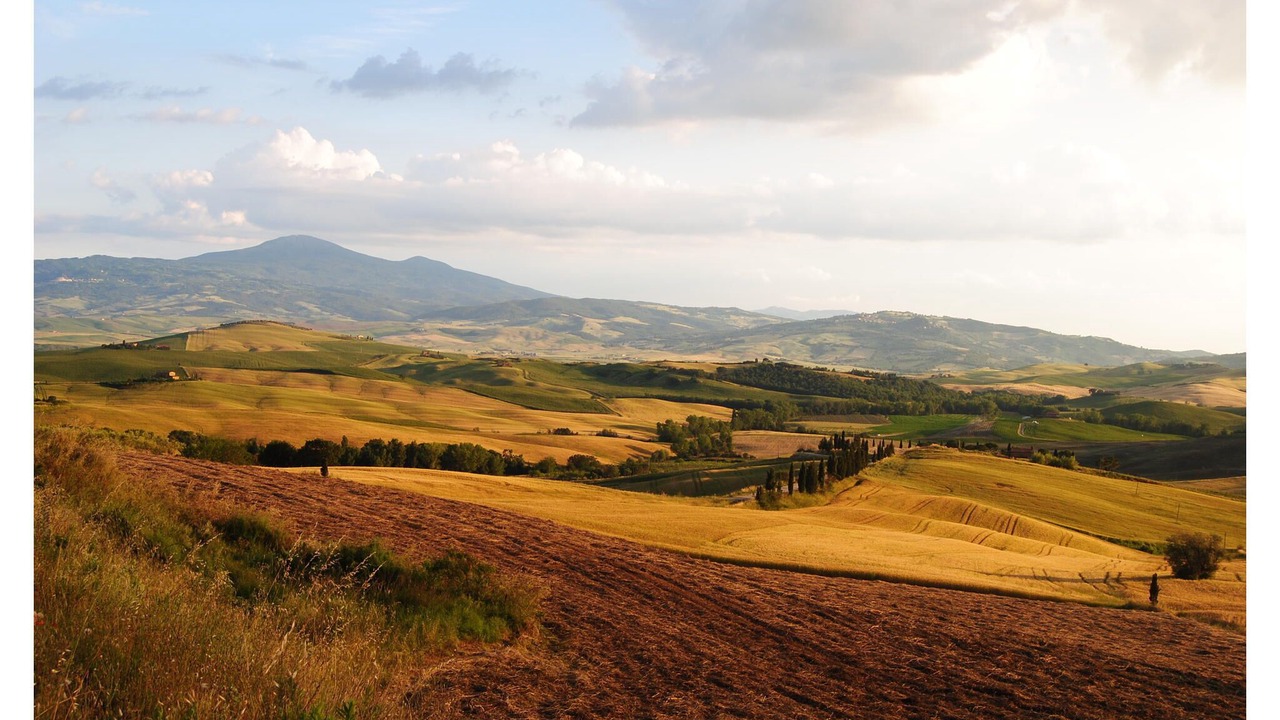 Photo of Others in Vivo dʼOrcia