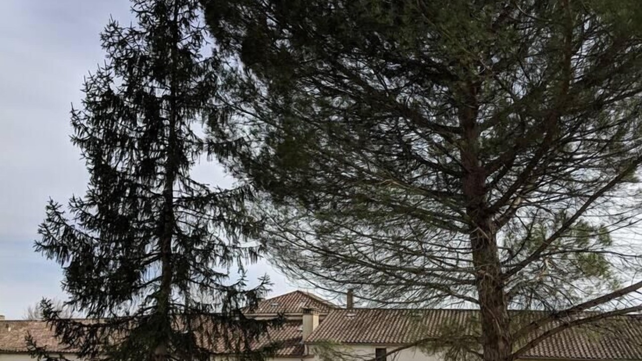 Photo of Outdoor in Dieulivol