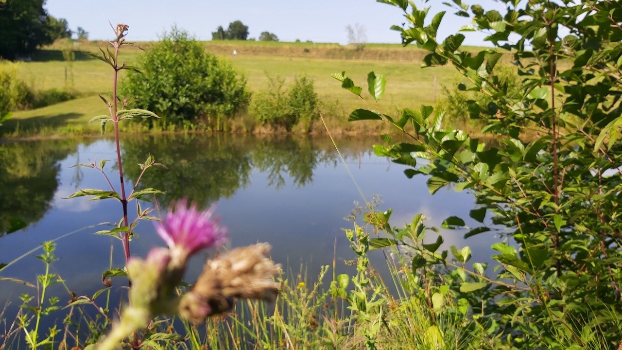 Photo of Outdoor in Saint-Felix-de-Foncaude