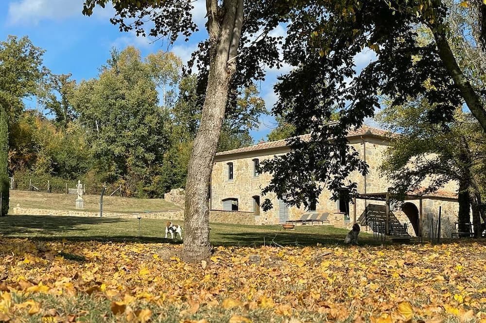 Photo of Outdoor in Montorsaio