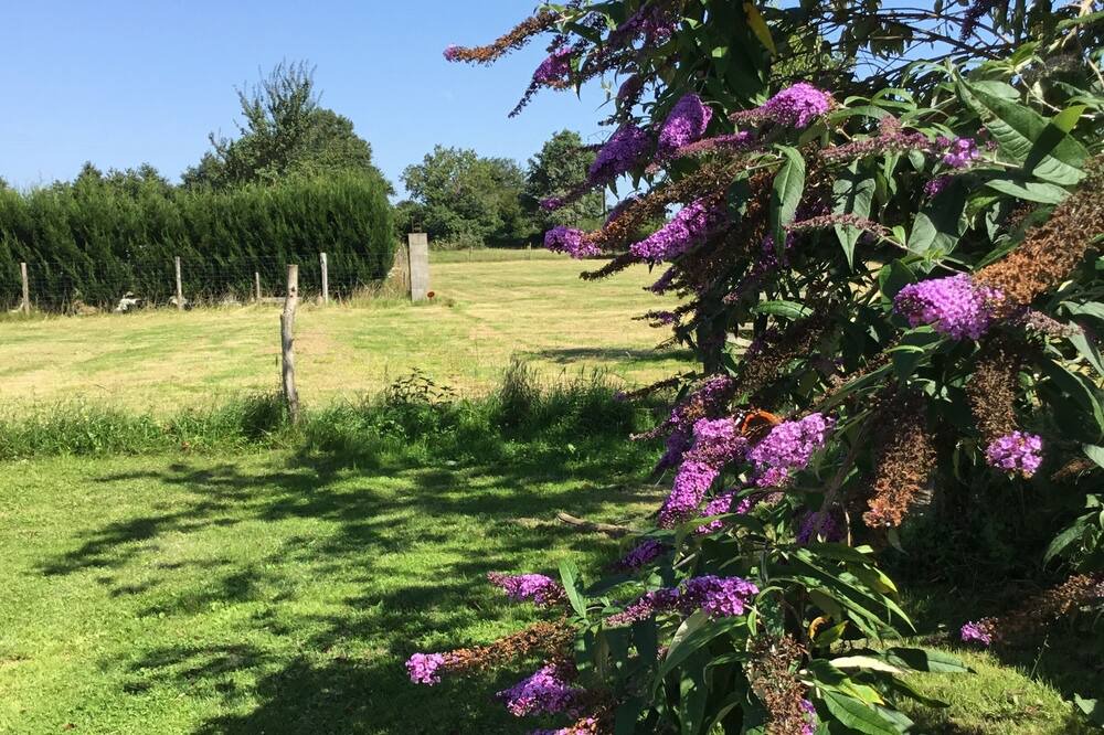 Photo of Outdoor in Millac