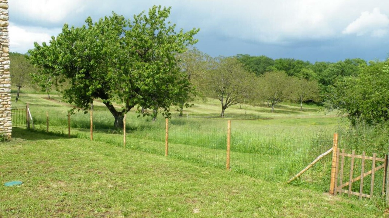 Photo of Outdoor in Coulaures