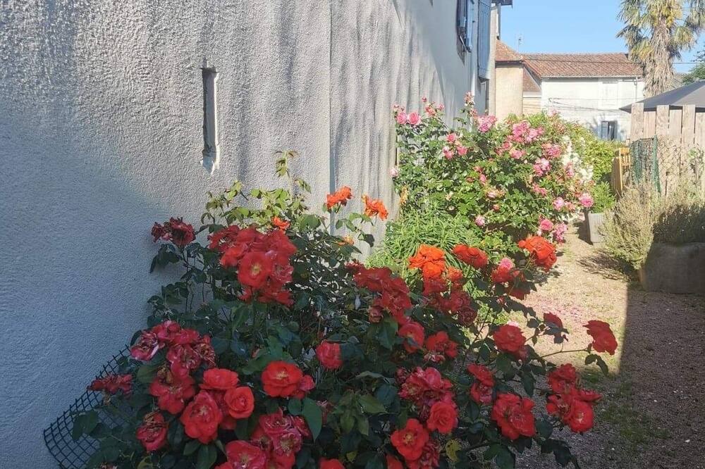 Photo of Outdoor in Saint-Junien