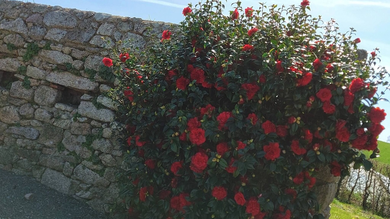 Photo of Outdoor in Mauleon
