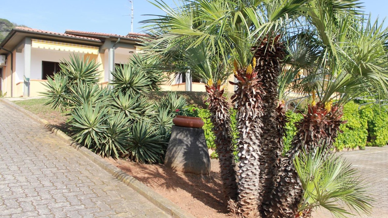 Photo of Outdoor in Magazzini