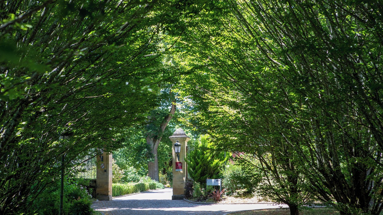 Photo of Outdoor in Saint-Vincent-de-Cosse