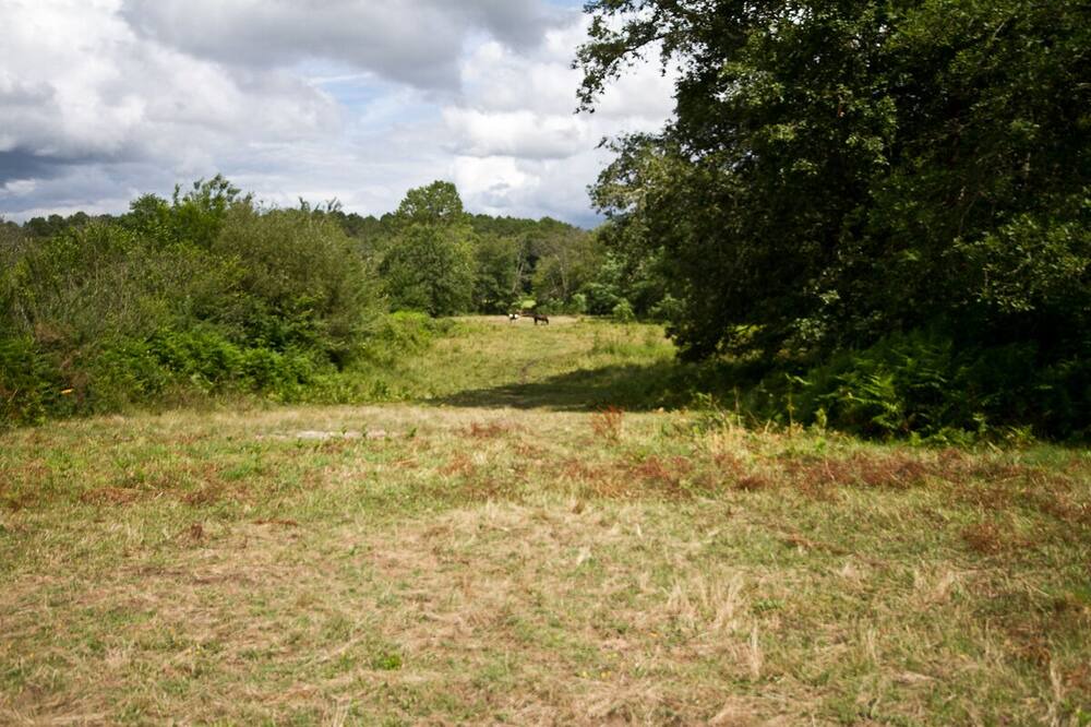 Photo of Outdoor in Noaillan