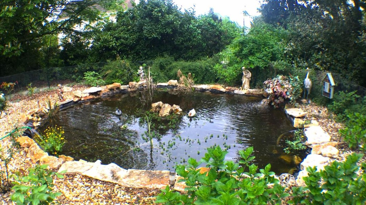 Photo of Outdoor in Rouffignac-Saint-Cernin-de-Reilhac