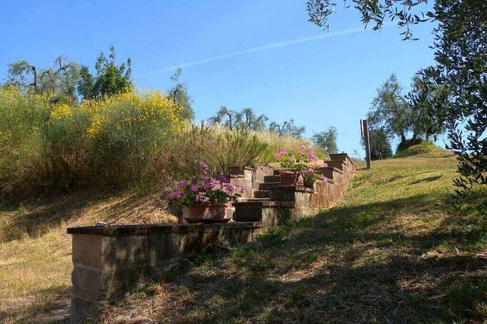 Photo of Outdoor in Colleoli