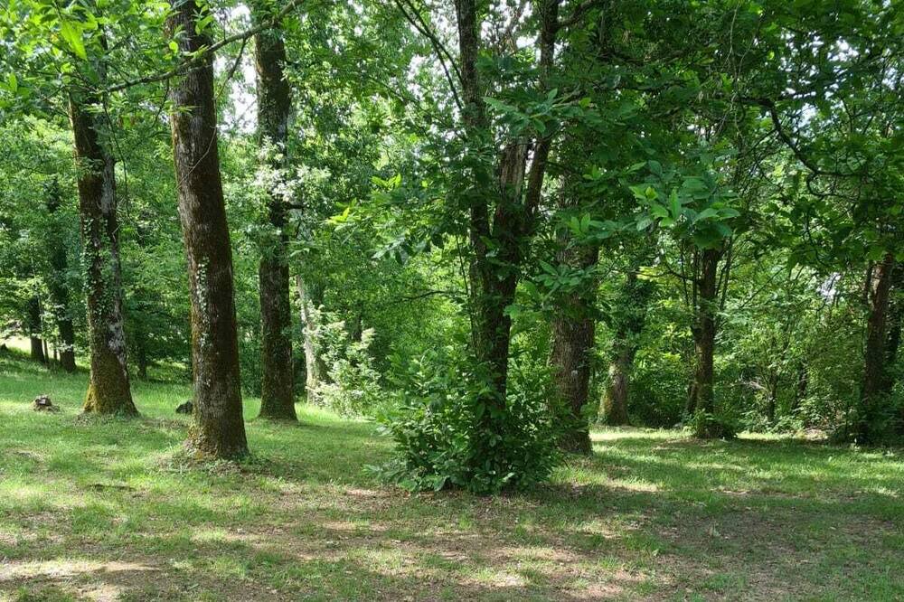 Photo of Outdoor in Lalinde