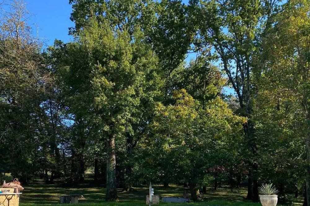 Photo of Outdoor in Lalinde