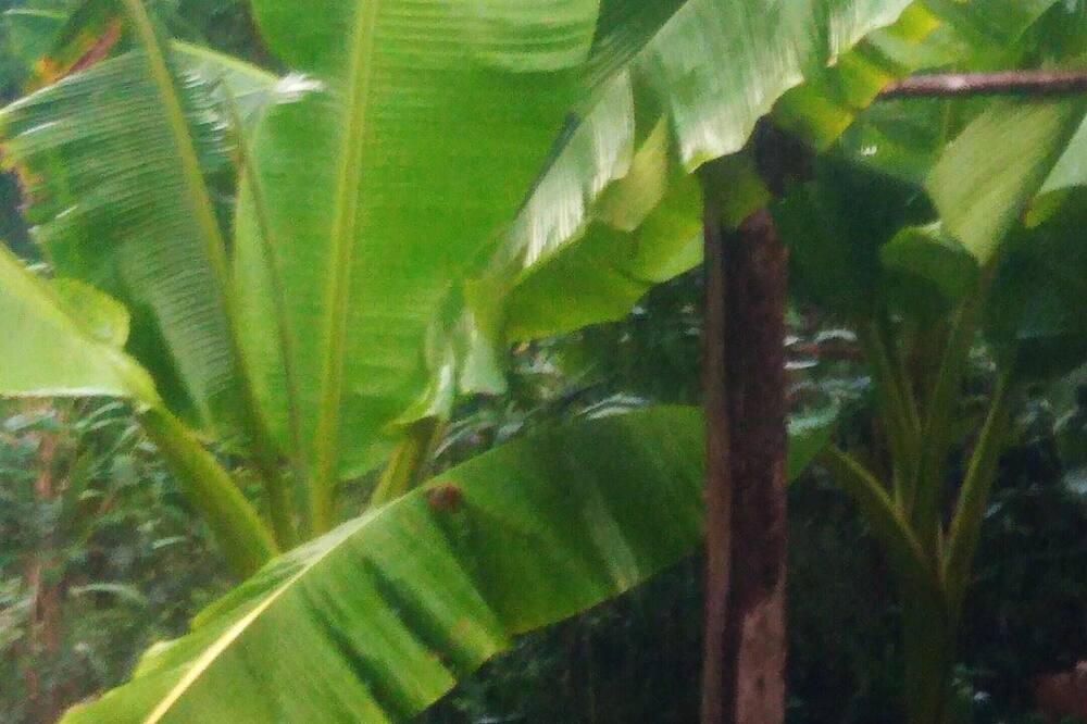 Photo of Others in Gan