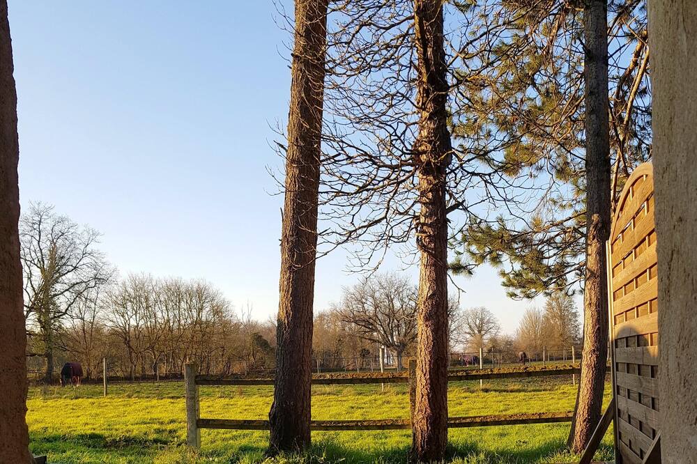 Photo of Outdoor in La Roche-Posay
