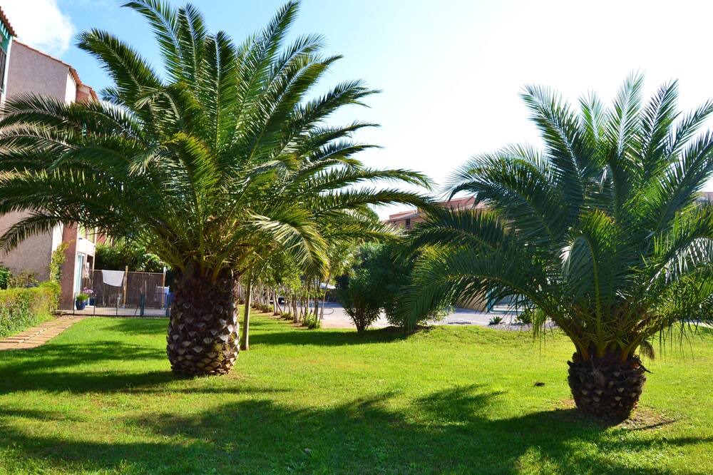 Photo of Outdoor in Miramar