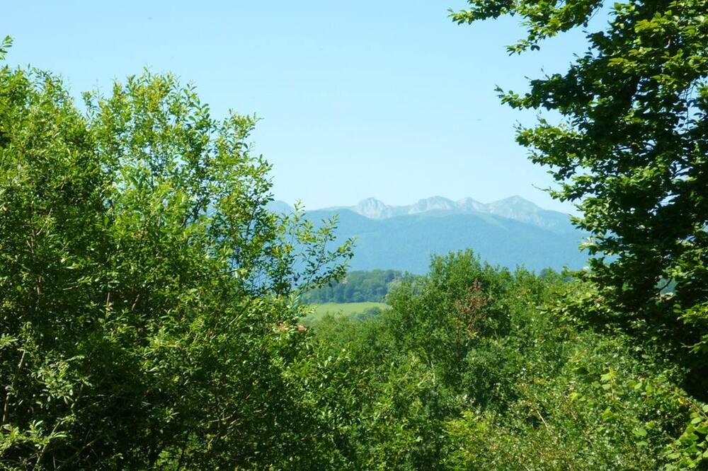 Photo of Outdoor in Haut-de-Bosdarros