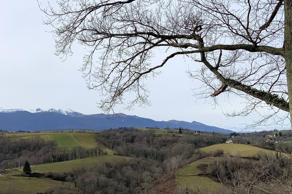 Photo of Others in Haut-de-Bosdarros