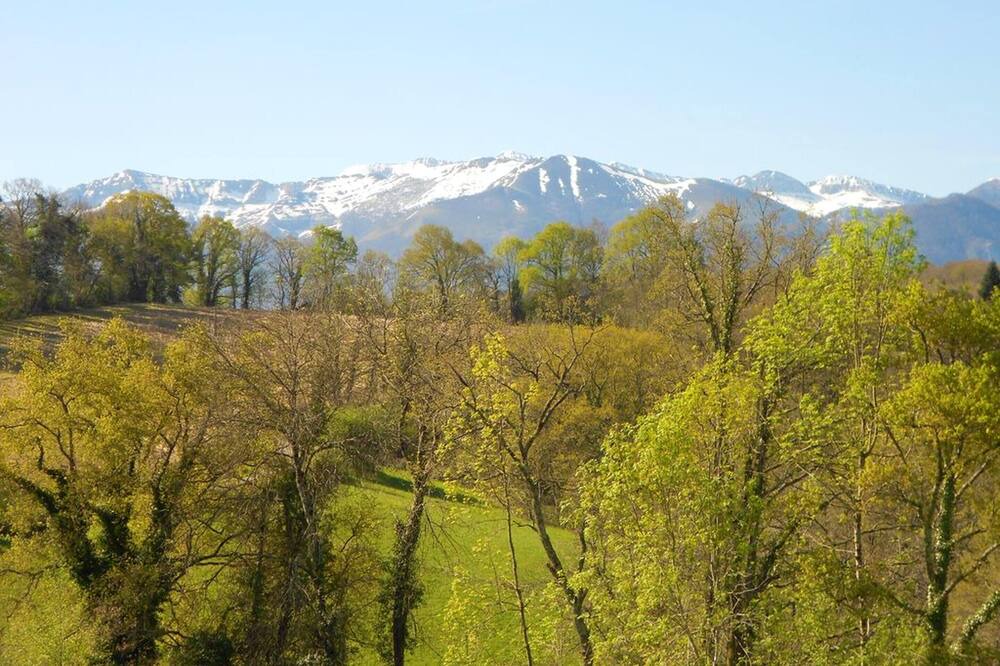 Photo of Others in Haut-de-Bosdarros