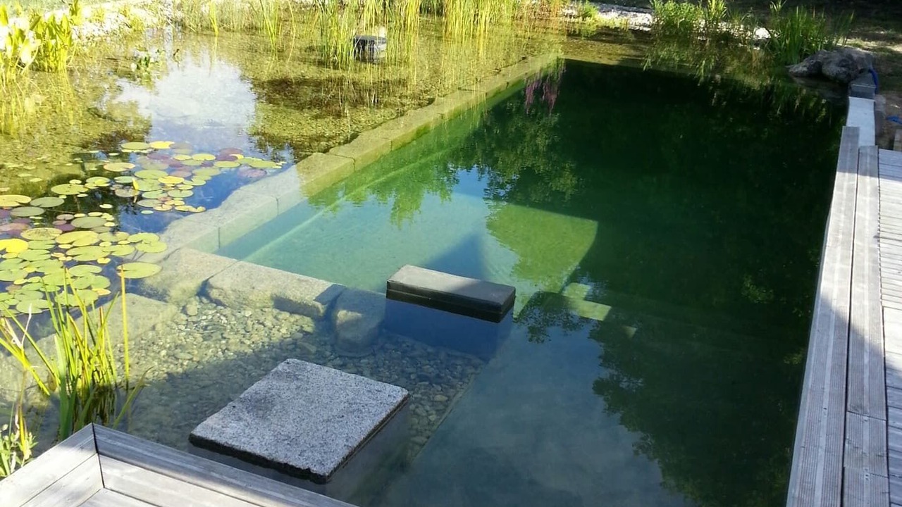 Photo of Outdoor in Saint-Andre-sur-Sevre