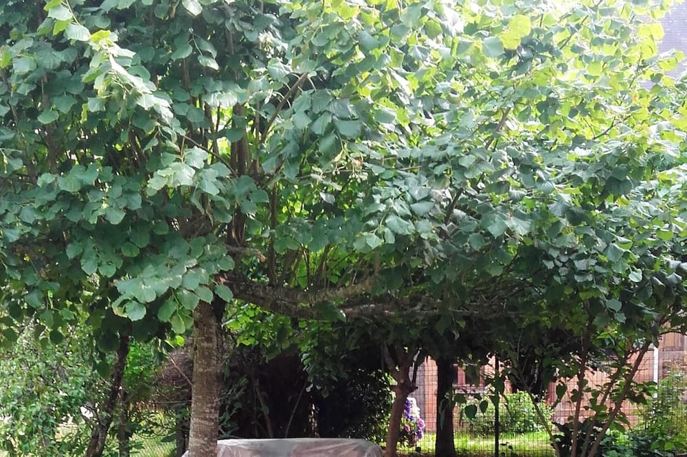 Photo of Outdoor in La Porcherie