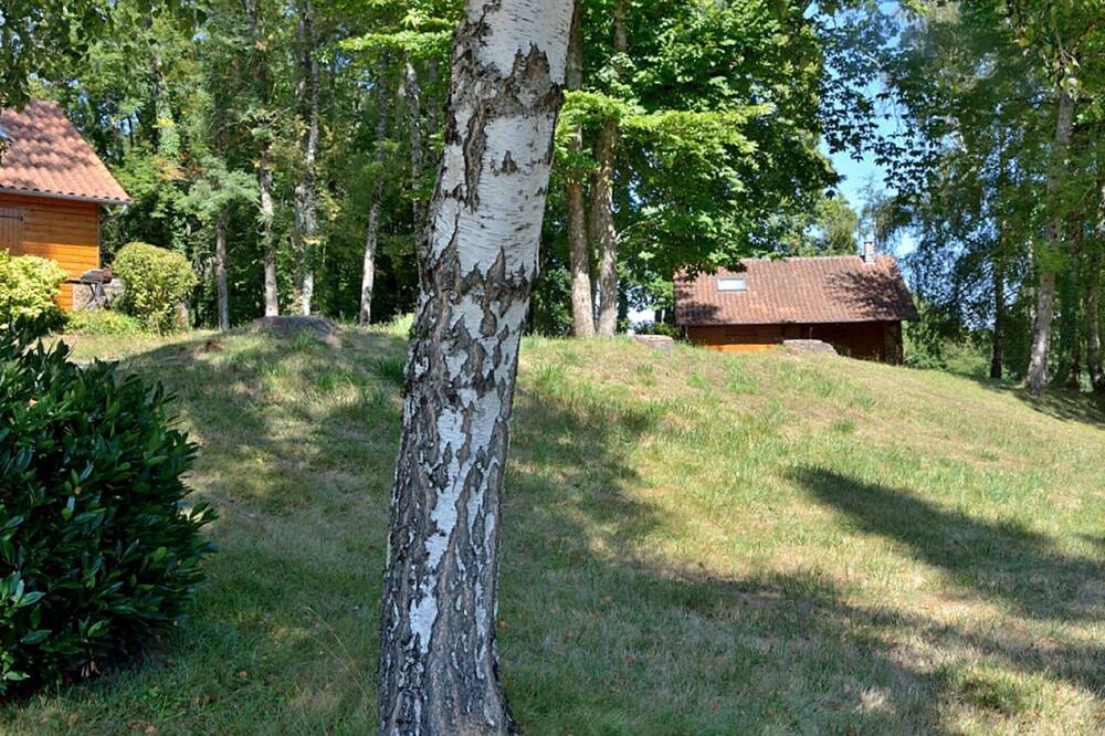 Photo of Outdoor in Cussac