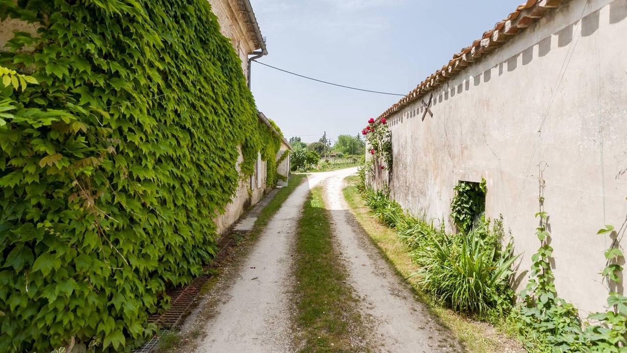 Photo of Outdoor in Genissac