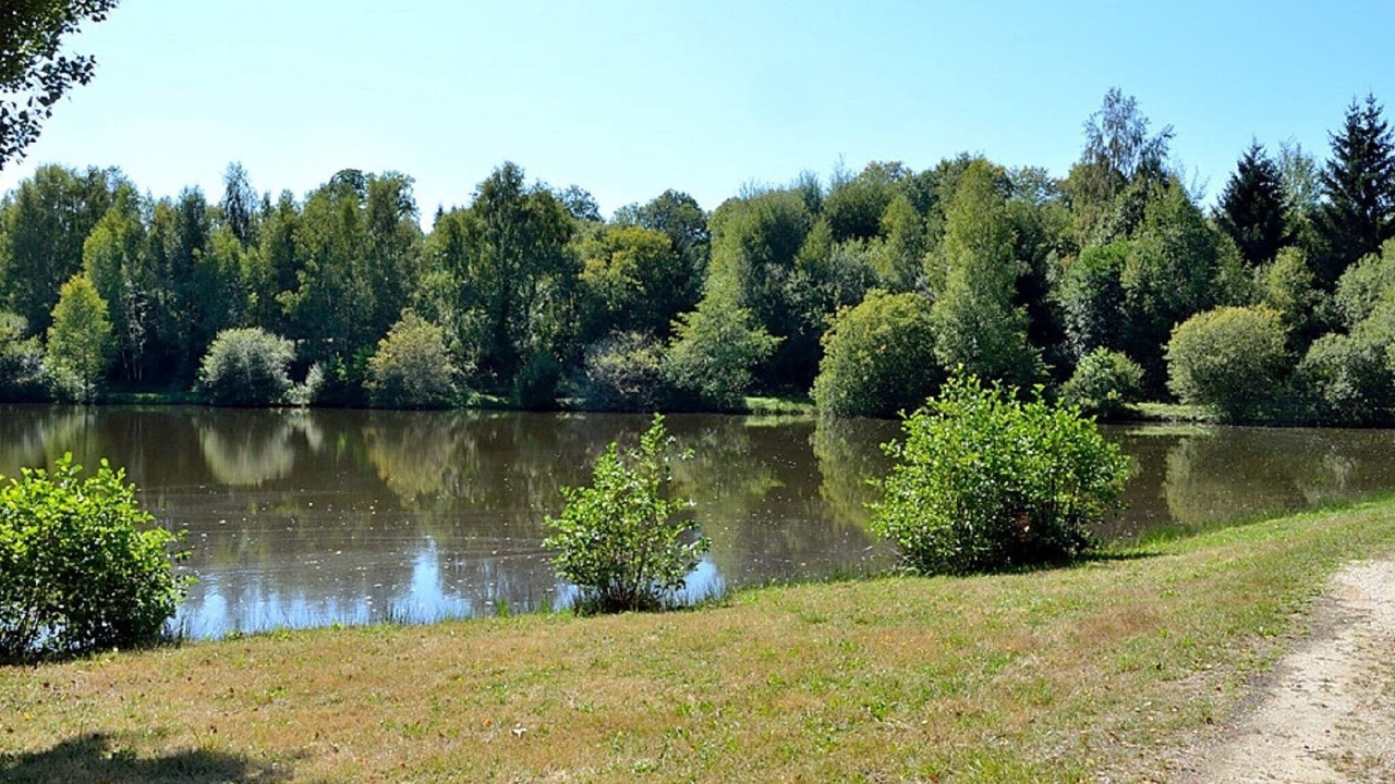 Photo of Outdoor in Cussac
