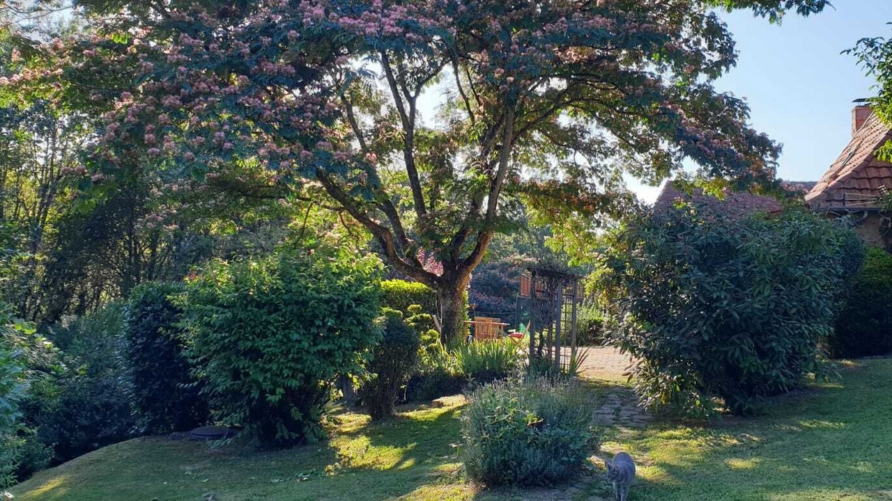 Photo of Outdoor in Clermont-d'Excideuil