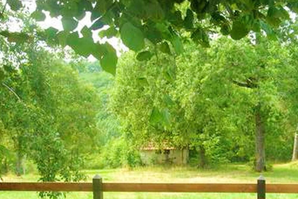 Photo of Outdoor in Bussac