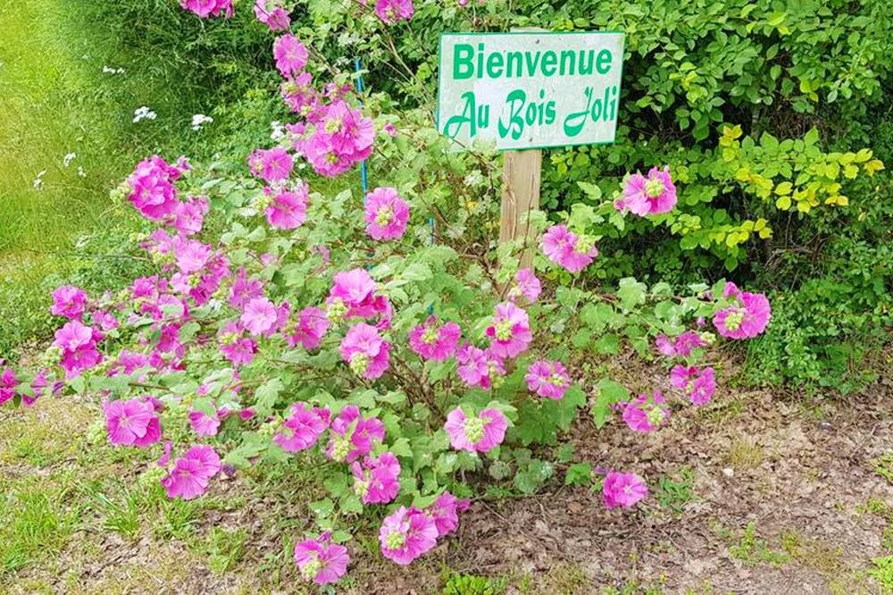 Photo of Outdoor in Bussac-Foret
