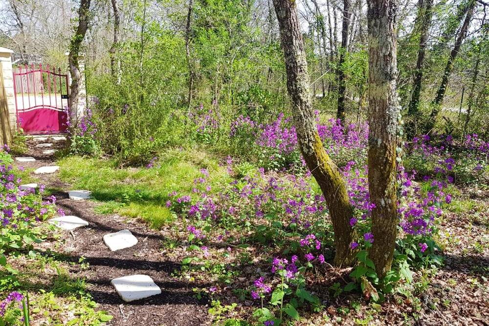 Photo of Outdoor in Bussac-Foret