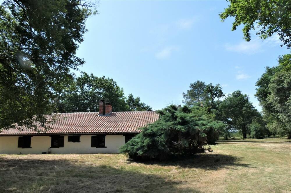 Photo of Outdoor in Commensacq