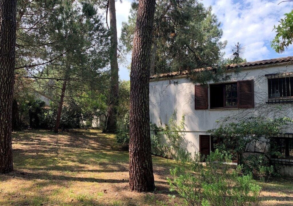 Photo of Outdoor in Saint-Georges-de-Didonne