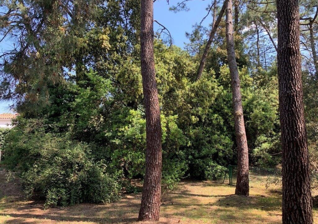 Photo of Outdoor in Saint-Georges-de-Didonne