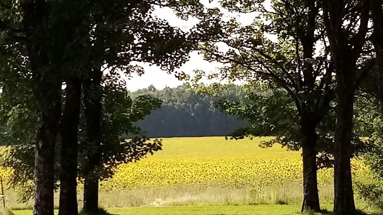 Photo of Others in Montboyer