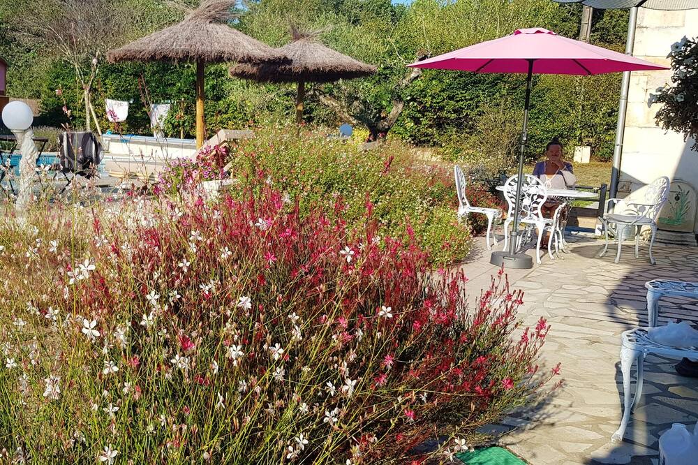 Photo of Outdoor in Bussac-Foret