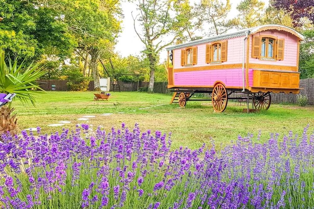 Photo of Outdoor in Bussac-Foret