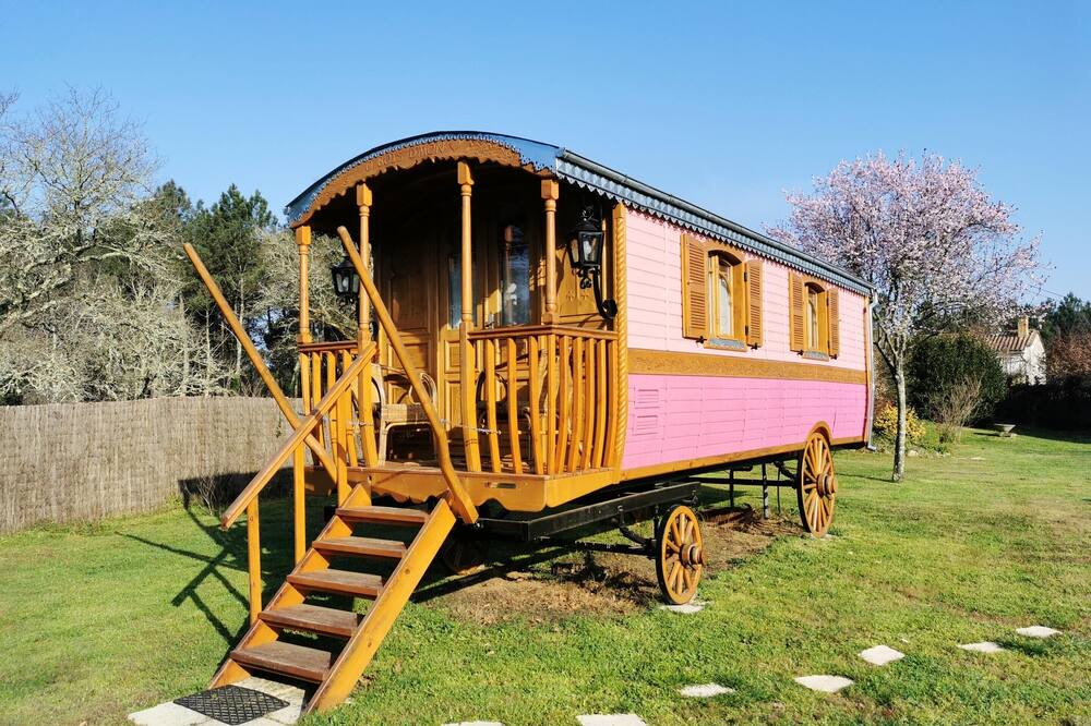 Photo of Outdoor in Bussac-Foret
