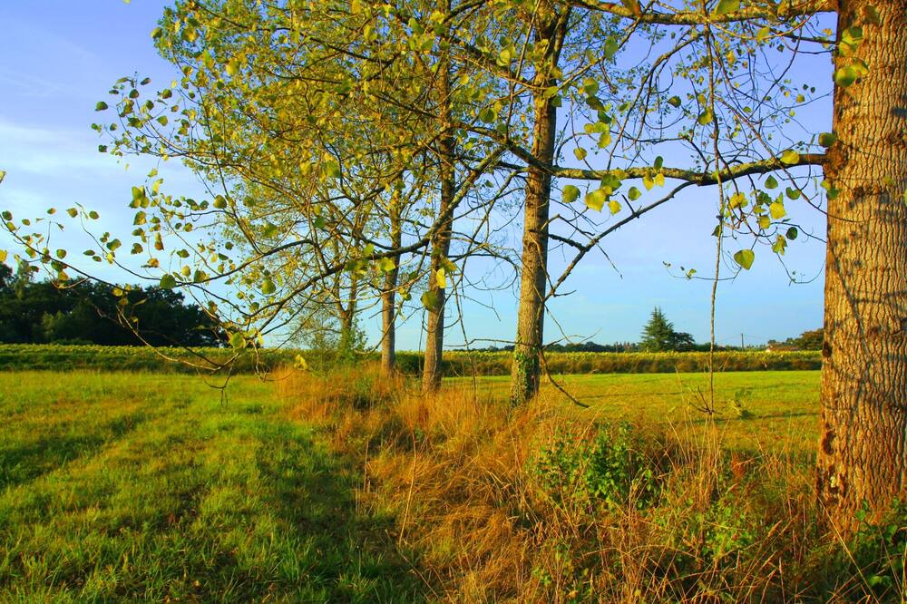 Photo of Outdoor in Bonnut