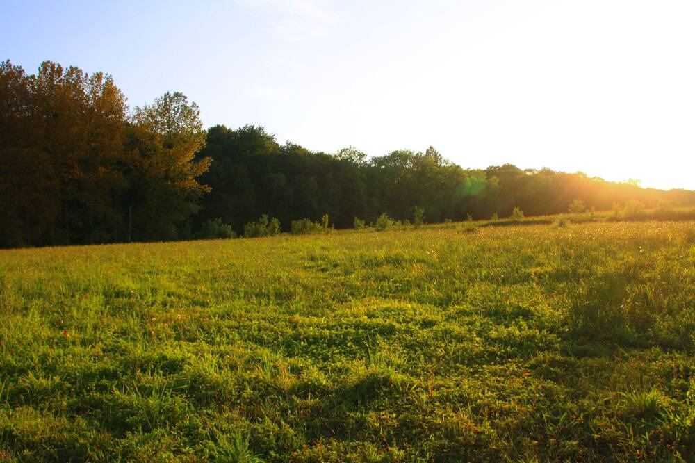 Photo of Outdoor in Bonnut