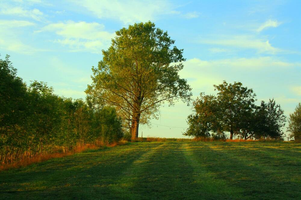 Photo of Outdoor in Bonnut