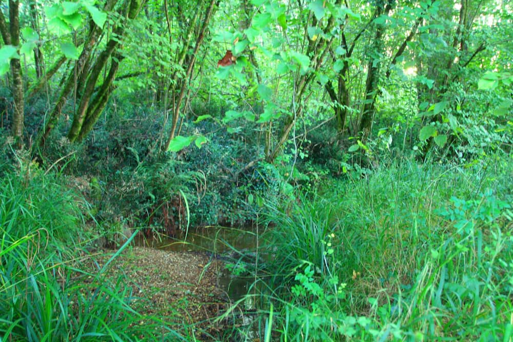 Photo of Outdoor in Bonnut