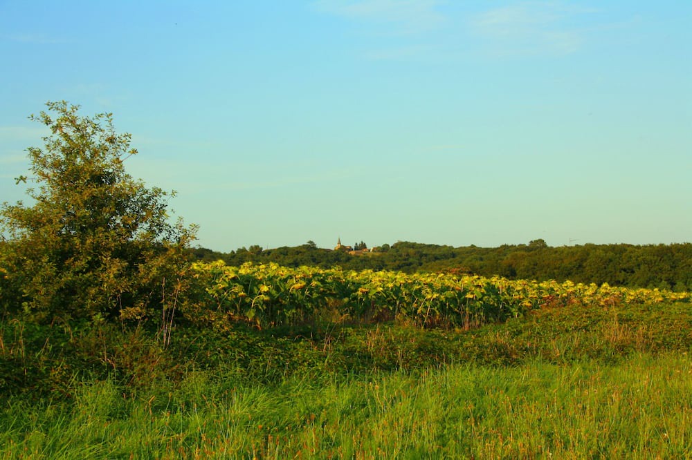 Photo of Outdoor in Bonnut